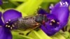16x9 Image