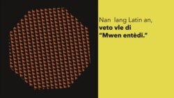 Ki sa ki yon veto?