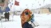 Veterans for Standing Rock Head Evacuation Mission