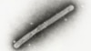 16x9 Image