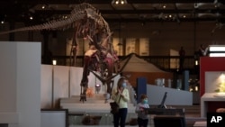 A woman and a small boy wear face masks as they look at dinosaur skeletons while on a structured one directional walk, to prevent the spread of the coronavirus, at the Museum of Natural History in Brussels, May 19, 2020. 