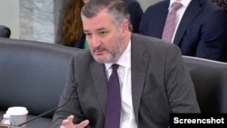 美國國會參議院商務、科學及運輸委員會主席泰德‧克魯茲(Ted Cruz)2月12日在該委員會聽證會上發言。