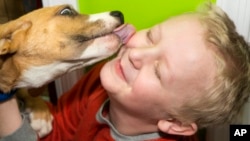 Pets Plus of Gibbstown Grand Opening and Adoption Event