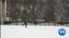Sculptures Add to the Attraction of Outdoor Ice Rink