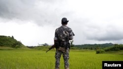 ရခိုင်ပြည်နယ်မြောက်ပိုင်း မောင်တောဒေသက လယ်ယာစိုက်ခင်းများ