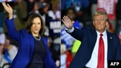 民主黨總統候選人、現任副總統賀錦麗（Kamala Harris 左）與共和黨總統候選人、前總統唐納德·特朗普（Donald Trump）分別在為2024年大選出席競選集會。