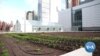 Above New York, a Giant Green Roof Tries to Reduce Carbon Footprint