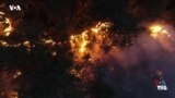 VOA Tek - احیای جنگل‌ها