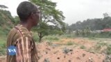 Abidjan, mɔgɔ ba caman ka ɲɛnamaya tiɲɛna
yiriwali tɔgɔ