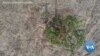 'Cambodia Burning' Throws Light on Cambodia’s Forest Destruction