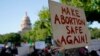 Abortus - vruća izborna tema, pitanje da li je i najvažnija