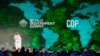 What Do We Expect From COP28?