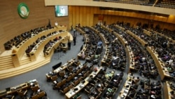 Walgahii Gamtaa Afrikaa Irraa Maaltu Eegama?