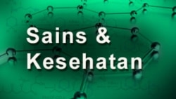 Laporan PBB Peringatkan Bahaya Kelaparan Akibat Perubahan Iklim