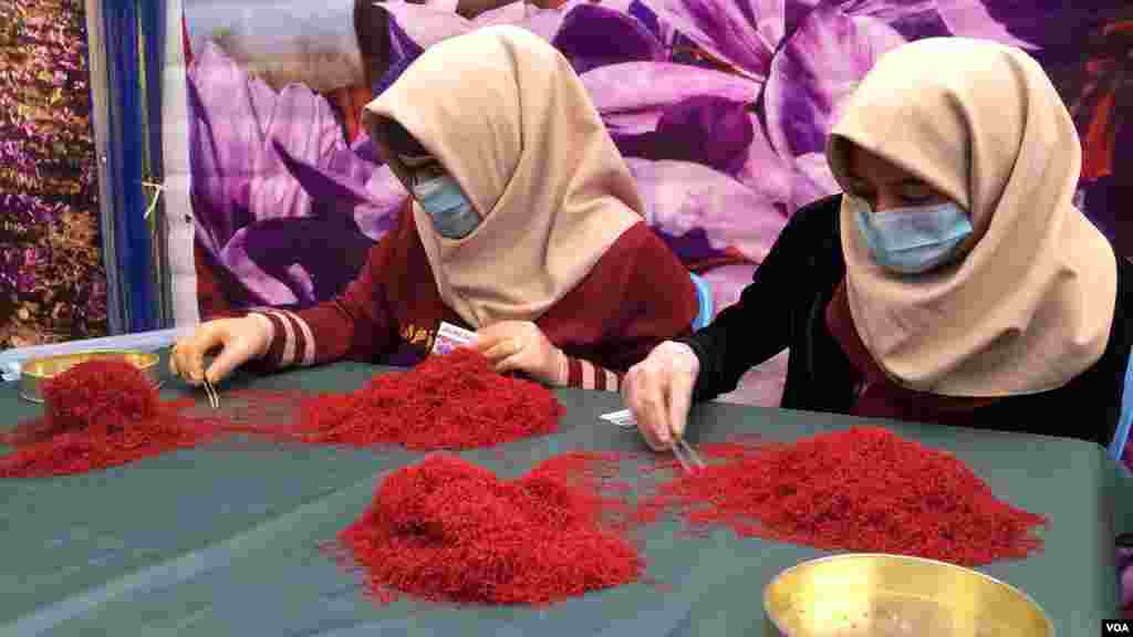 بانوان در جمع‌آوری، جداسازی و بسته‌بندی محصولات زعفران نقش پررنگی دارند