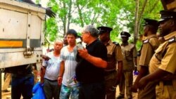 Exportação ilegal da madeira aumenta em Moçambique