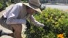 How to Control Weeds When Planting
