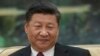 中国国家主席习近平（资料照片）