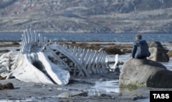 Russia -- A scene from the Russian film "Leviathan" directed by Andrei Zvyagintsev