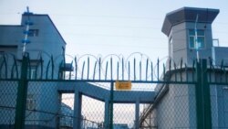 澳參院通過禁止奴工產品法 維吾爾人權成焦點