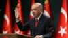 اردوغان به پوتین: تهاجم بر حاکمیت ملی اوکراین قابل قبول نیست 