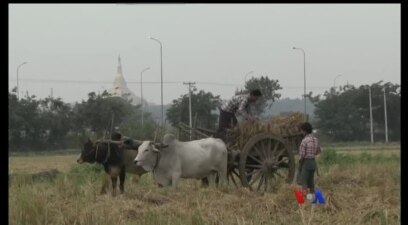 အစိုးရသစ်နဲ့ မြေယာသိမ်းဆည်းမှုပြဿနာ