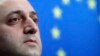 ღარიბაშვილი: ევროპარლამენტის რეზოლუციის მიზანი საქართველოში მმართველობის სისტემის დისკრედიტაციაა