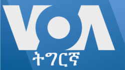 ፈነወ ትግርኛ ዓርቢ