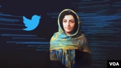 نرگس محمدی، سخنگو و نایب‌رئیس کانون مدافعان حقوق بشر