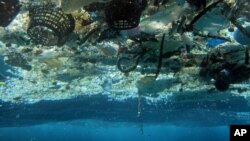 Ocean Plastic