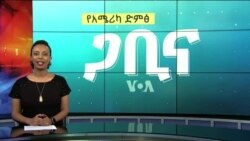 ጋቢና ቪኦኤ
