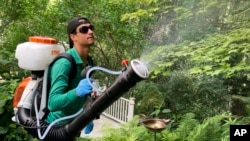 Mosquito Miseries