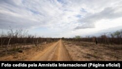  FOTO DE ARQUIVO