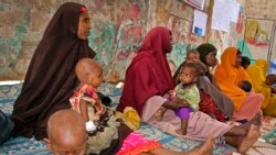 ኣብ ሶማል ዘጋጠመ ሕማም ሸሮኽ ንኩነታት ብደርቂ ዝተጠቕዓ ደቡባዊ ሶማል የጋድድ