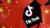 比利時禁止在政府手機上使用TikTok
