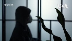 緬甸電詐園區延燒中國輿論 受害者親屬展開罕見的草根活動求助