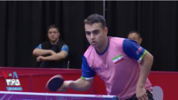 AMIR hossein hodaei