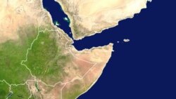 በጉጂ ዞኖች ግጭት አሠቃቂ የሰብአዊ መብቶች ረገጣ ተባብሶ መቀጠሉን ካርድ አስታወቀ 