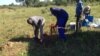 Gukurahundi Exhumations