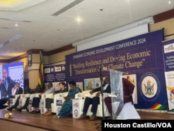 Zimbabwe Economic Development Conference 2024