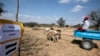 EleZimbabwe Selibambane le-United Nations Ekubuthaniseni I-US$420 Million Yokuphathisa Abalambayo