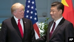 時任美國總統特朗普與中國國家主席習近平2017年7月在G-20會議期間舉行會晤。