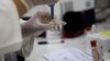 Austrália intensifica testes de Zika vírus