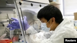 A scientist works in a lab testing COVID-19 samples at New York City's health department, during the outbreak of the coronavirus disease (COVID-19) in New York City, New York U.S., April 23, 2020. (Reuters/Brendan McDermid)