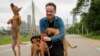 Once overlooked, Brazilian caramel-colored stray dogs having a major moment