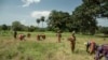 African Leaders Discuss Path to Food Security at Dakar Summit