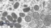 16x9 Image