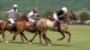 The Athlete and Its Rider