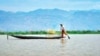 အင်းလေးကန် သဘာဝ ဘေးမဲ့တော