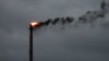 US oil production rose to record high in October, data show